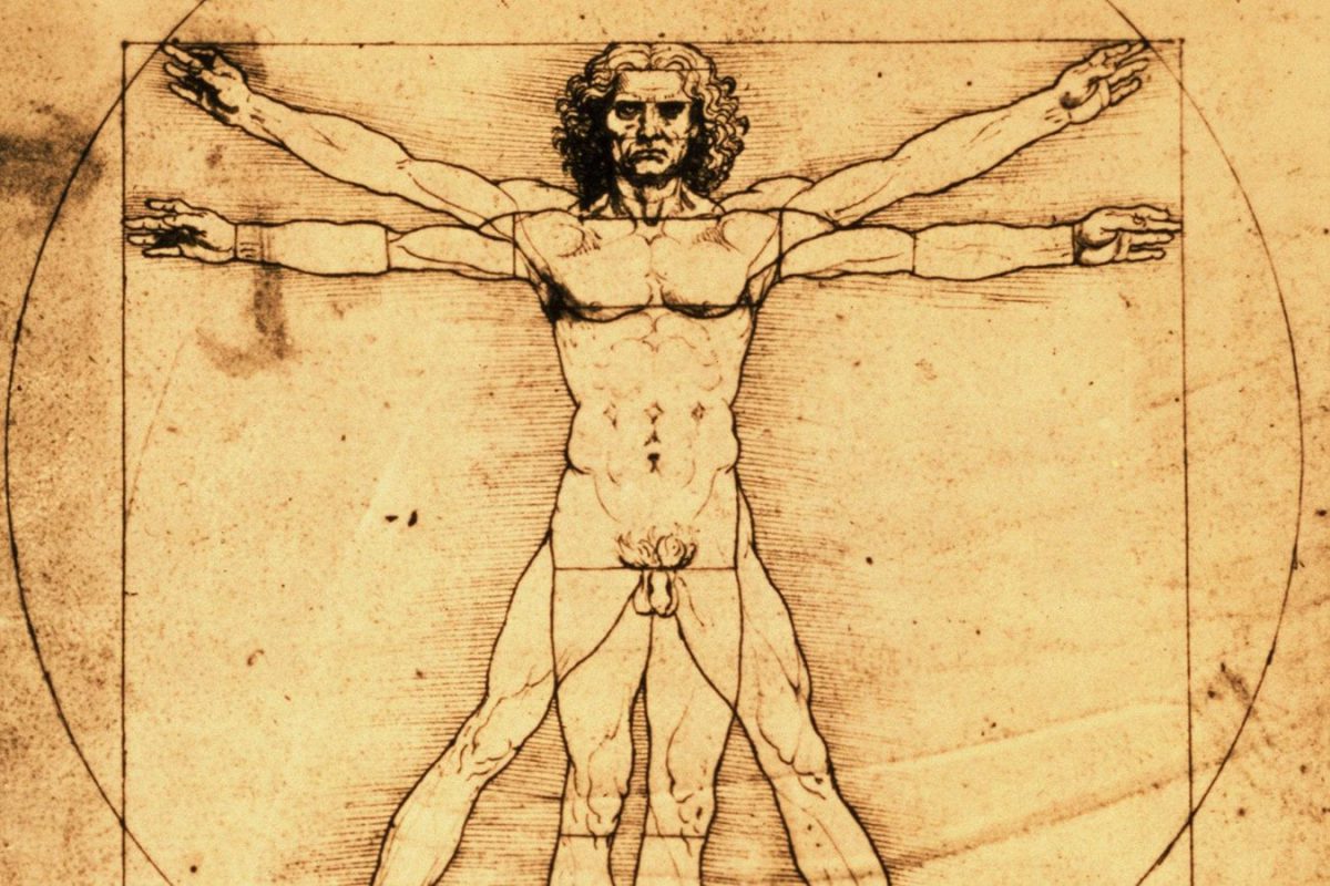 Anatomy of a Great Niche