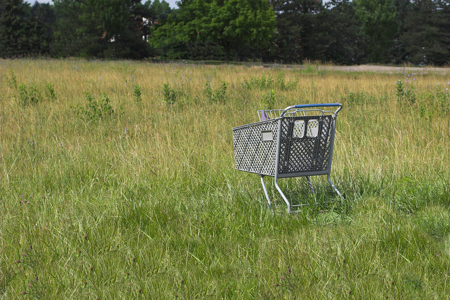 Email Marketing & Cart Abandonment Results