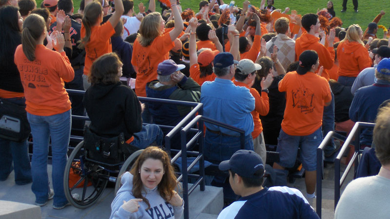 Cheering Fans