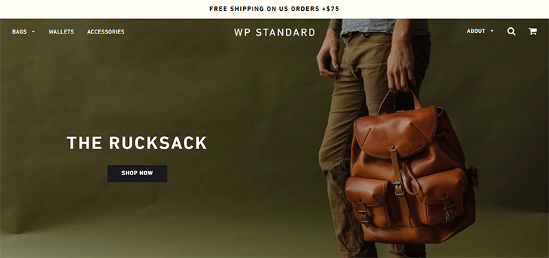 WP Standard homepage