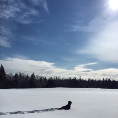 Winter in Maine is rough, but still beautiful