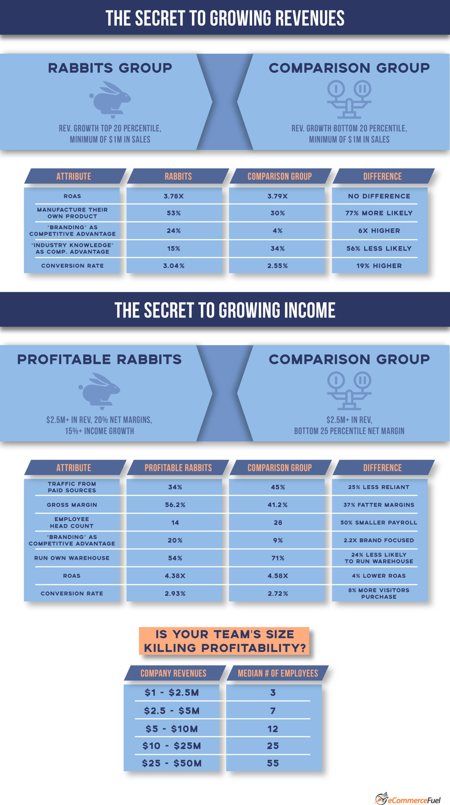 Growing eCommerce Revenues