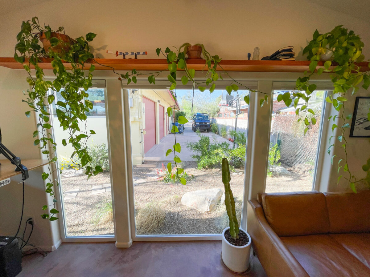 Cactus Windows Backyard Home Office